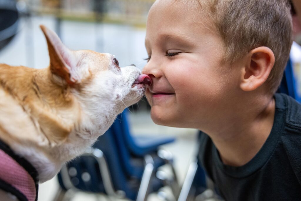 舐め行動を活用して愛犬との絆を深める方法 