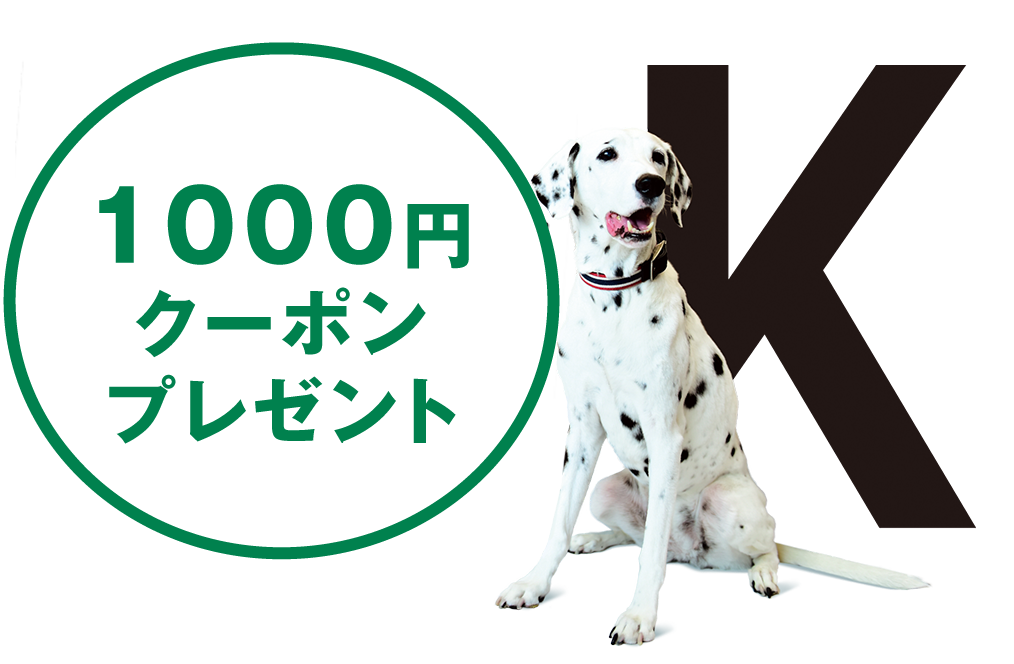 THE KENNELS TOKYO